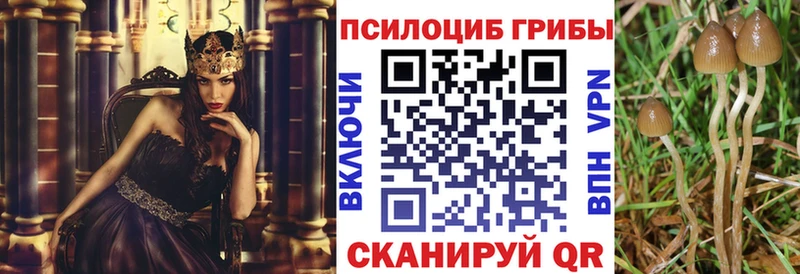 Галлюциногенные грибы прущие грибы  где можно купить   Солнечногорск 